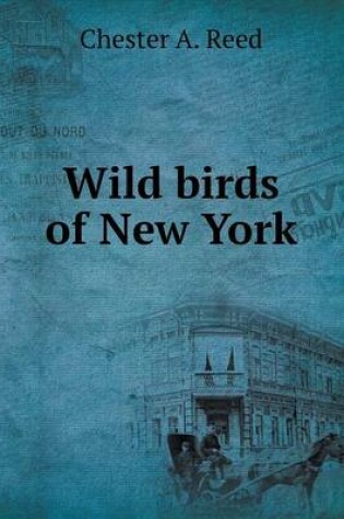 Cover of Wild birds of New York