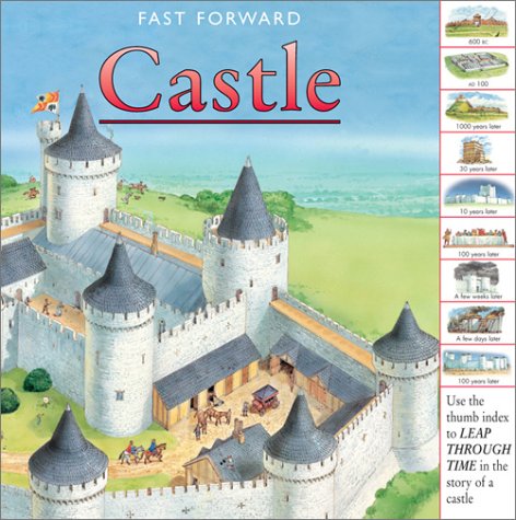 Book cover for Castle