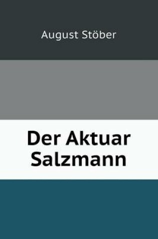 Cover of Der Aktuar Salzmann