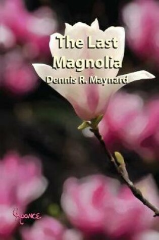 Cover of The Last Magnolia