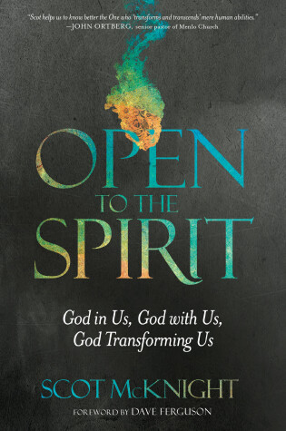 Cover of Open to the Spirit: God in Us, God with Us, God Transforming Us