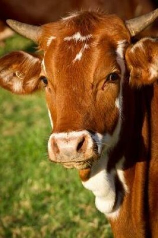 Cover of A Brown and White Cow with Horns Journal