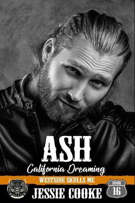 Book cover for Ash