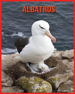 Book cover for Albatros