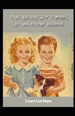 Book cover for The Bobbsey Twins at Meadow Brook Illustrated