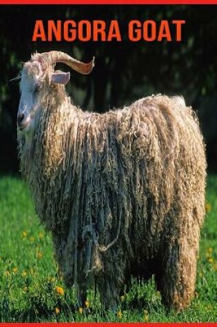 Cover of Angora Goat