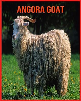 Book cover for Angora Goat