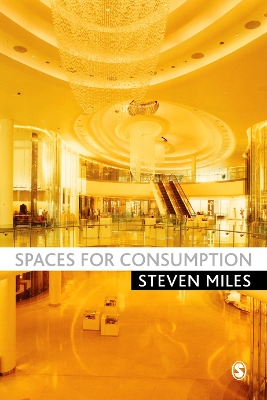 Book cover for Spaces for Consumption