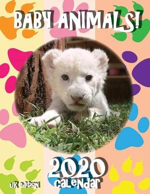 Book cover for Baby Animals! 2020 Calendar (UK Edition)