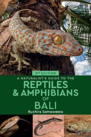 Cover of A Naturalist's Guide to the Reptiles & Amphibians of Bali (2nd edition)