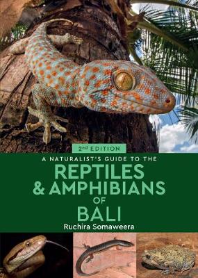 Cover of A Naturalist's Guide to the Reptiles & Amphibians of Bali (2nd edition)