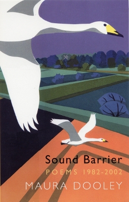 Book cover for Sound Barrier