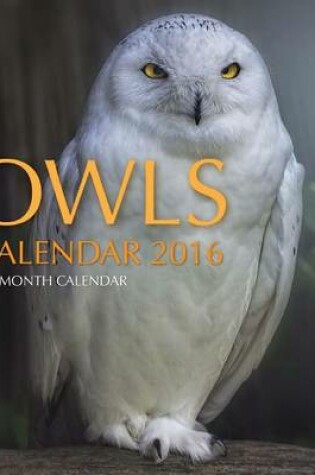 Cover of Owls Calendar 2016