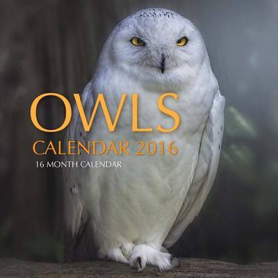 Book cover for Owls Calendar 2016