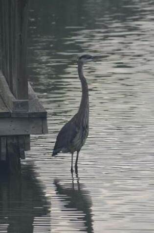 Cover of South Texas Great Blue Heron