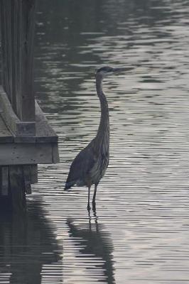 Book cover for South Texas Great Blue Heron