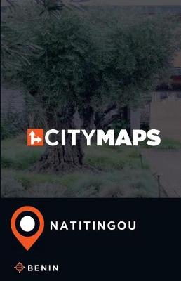 Book cover for City Maps Natitingou Benin