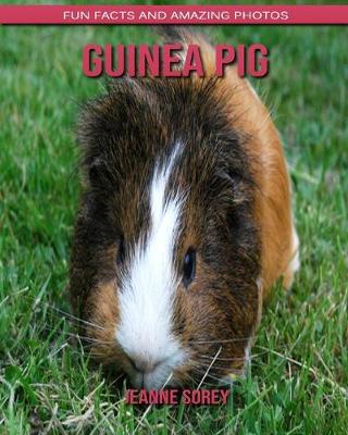 Book cover for Guinea pig