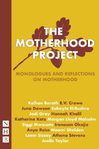 Cover of The Motherhood Project