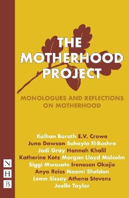 Book cover for The Motherhood Project