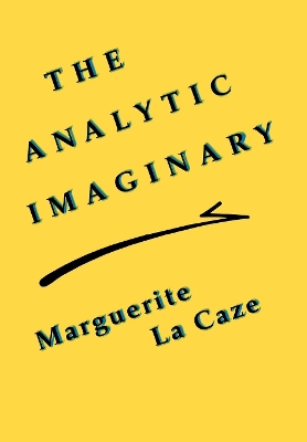 Book cover for The Analytic Imaginary