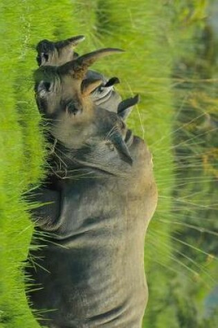 Cover of Rhino Pair in Uganda, Africa Journal