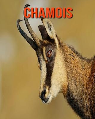 Book cover for Chamois