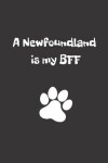 Book cover for A Newfoundland is my BFF