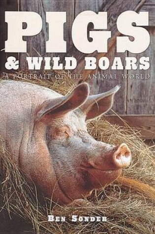 Cover of Pigs and Wild Boars