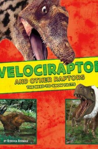 Cover of Velociraptor and Other Raptors