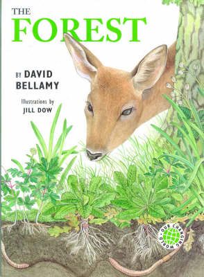 Book cover for The Forest