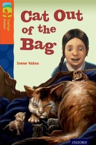 Cover of Oxford Reading Tree TreeTops Fiction: Level 13 More Pack B: Cat Out of the Bag