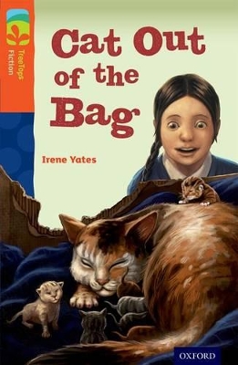 Book cover for Oxford Reading Tree TreeTops Fiction: Level 13 More Pack B: Cat Out of the Bag