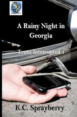 Cover of A Rainy Night in Georgia