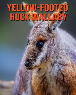 Book cover for Yellow-footed Rock Wallaby