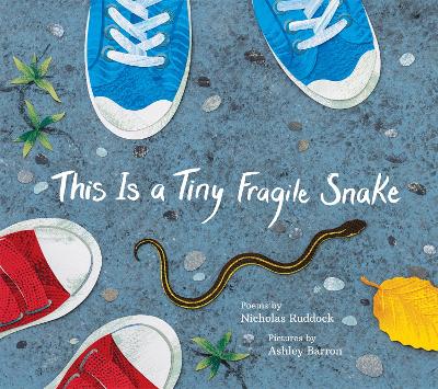 Book cover for This Is a Tiny Fragile Snake