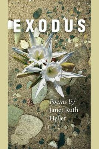 Cover of Exodus