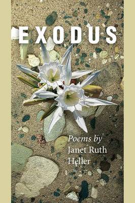 Book cover for Exodus