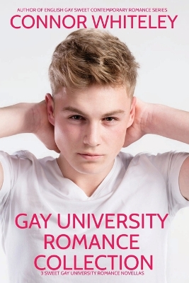 Book cover for Gay University Romance Collection