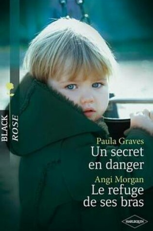 Cover of Un Secret En Danger - Le Refuge de Ses Bras