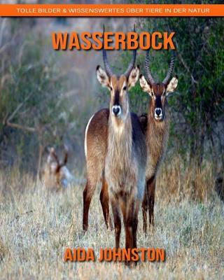 Book cover for Wasserbock