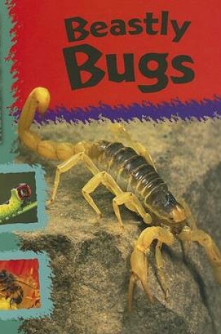 Cover of Beastly Bugs