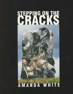 Book cover for Stepping on the Cracks