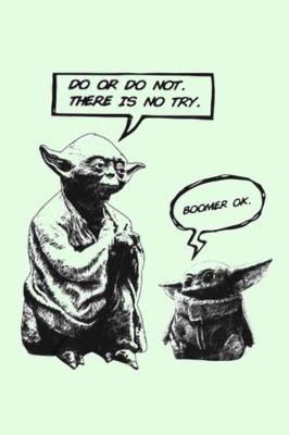 Book cover for Do or Do Not. There Is No Try. Boomer Ok.