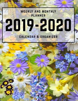 Book cover for Weekly and Monthly Planner 2019-2020 Calendar & Organizer