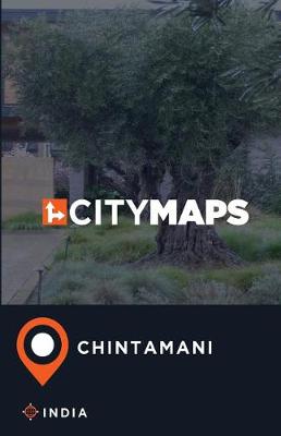 Book cover for City Maps Chintamani India