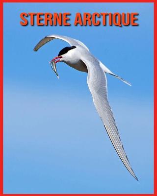 Book cover for Sterne Arctique