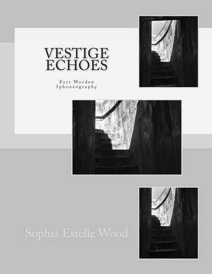 Book cover for Vestige Echoes