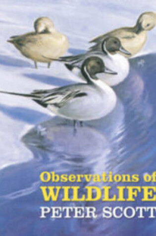 Cover of Observations of Wildlife