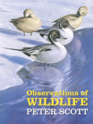 Book cover for Observations of Wildlife